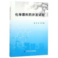 11化学原料药开发试验978751894759122