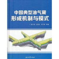 11中国典型油气藏形成机制与模式978751831988622
