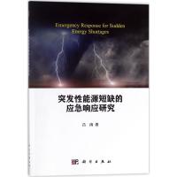 11突发性能源短缺的应急响应研究978703054919822