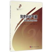 11致密砂岩气藏伤害机理与保护技术978703049984422