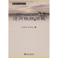 11沧州铁狮与旧城(沧州历史文化丛书)978703020089122