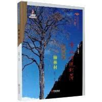 11宁波传统村落田野调查:柿林村978755263726722