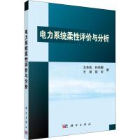 11电力系统柔性评价与分析978703058451922