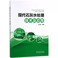 11现代石灰水处理技术及应用978751981744222