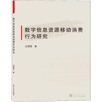 11数字信息资源移动消费行为研究978730720658822