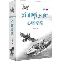 11心塔奇缘(2册)978753608724822