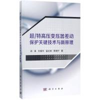 11超/特高压变压器差动保护关键技术与新原理978703053794222