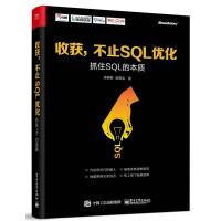 11收获不止SQL优化:抓住SQL的本质978712131436022