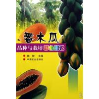 11番木瓜品种与栽培彩色图说978710907708922