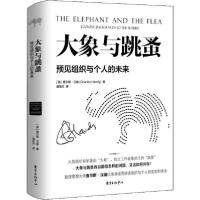 11大象与跳蚤 预见组织与个人的未来978754731562022