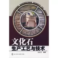 11文化石生产工艺与技术978712201928822