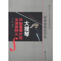 11经典管弦乐作品大提琴声部重要片段及演奏释义978710304408722