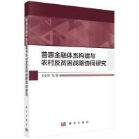 11普惠金融体系构建与农村反贫困战略协同研究978703066267522