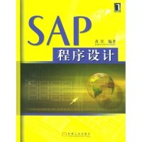 11SAP程序设计978711115935322