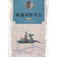 11昭通田野考古(之一)978722209228022