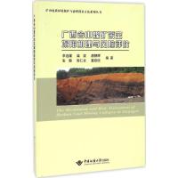 11广西合山煤矿采空塌陷机理与风险评价978756253831822