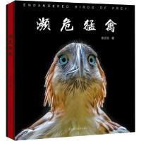 11濒危猛禽978755511224222