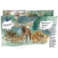 11瓜几拉的旅行手帐:美国978722911150222