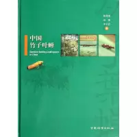 11中国竹子叶蝉978750387136822