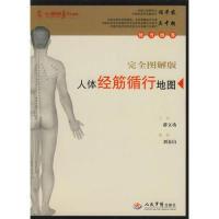 11人体经筋循行地图978750913658422