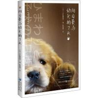 11向日葵与幼犬的7天978722913180722