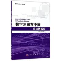 11数字油田在中国:油田数据学978703053463722