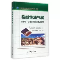 11裂缝性油气藏978751830882822
