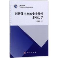 11回转体出水的全非线性水动力学978703055931922