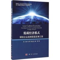 11低碳经济模式:钢铁企业战略联盟发展之路978703042234722