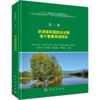 11京津冀环境综合治理若干重要举措研究 第3卷978703063652222