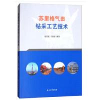 11苏里格气田钻采工艺技术978751831777622