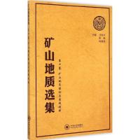 11矿山地质选集(第10卷:矿山地质理论与实践创新)9787548718499