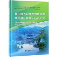 11高山峡谷区大型水库岸坡变形破坏机理与防治研究9787517077275