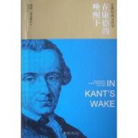 11在康德的唤醒下-20世纪西方哲学978730116152422