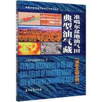 11准噶尔盆地油气田典型油气藏,准东北部分册978751834393522