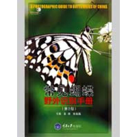 11常见蝴蝶野外识别手册978756244929422