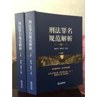 11刑法罪名规范解析(上下册)978751189512722