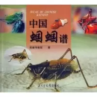 11中国蝈蝈谱978750131772122