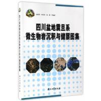 11四川盆地震旦系微生物岩沉积与储层图集978751831218422