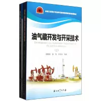 11油气藏开发与开采技术(上下)978750219594622