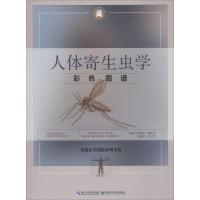 11人体寄生虫学彩色图谱978757060184422
