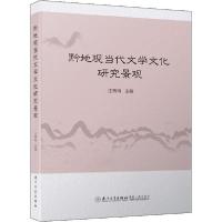 11黔地现当代文学文化研究景观978756157268922