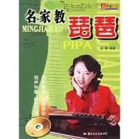 11名家教琵琶978780173152422