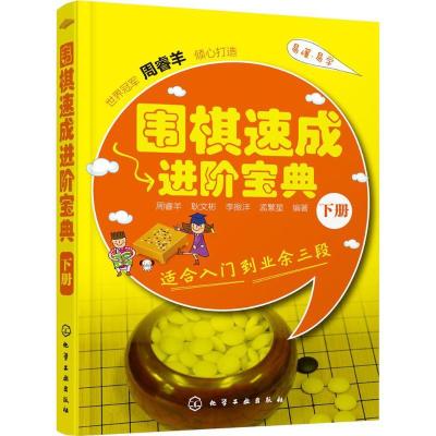 11围棋速成进阶宝典(下册)978712223939622