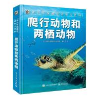 11爬行动物和两栖动物978712137504022