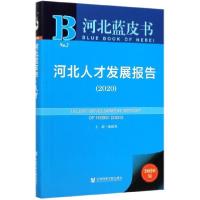 11河北人才发展报告(2020)/河北蓝皮书978752016347722