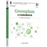 11Greenplum(从大数据战略到实现)/大数据技术丛书9787111632160