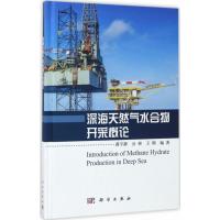 11深海天然气水合物开采概论978703053574022