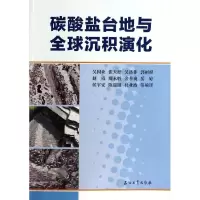 11碳酸盐岩台地与全球沉积演化978750219759922