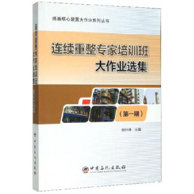 11连续重整专家培训班大作业选集(期)978751145386022